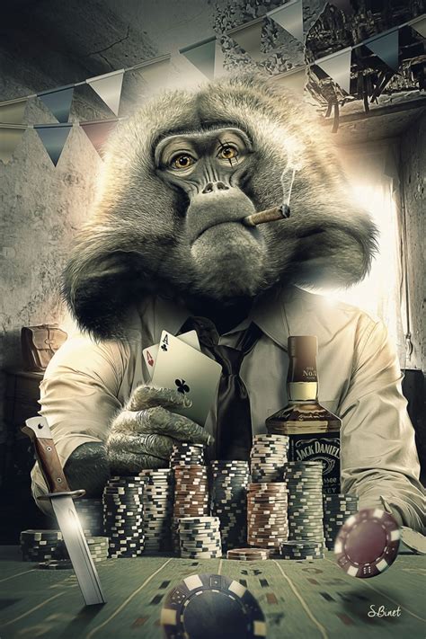 Spiele Poker Affe