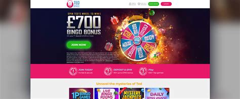 Ted Bingo Casino Review