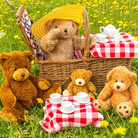 Teddy Bears Picnic Betsul