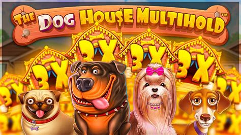 The Dog House Multihold 1xbet