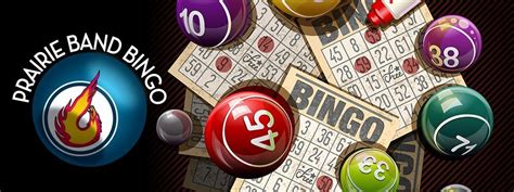 Tm Casino Bingo