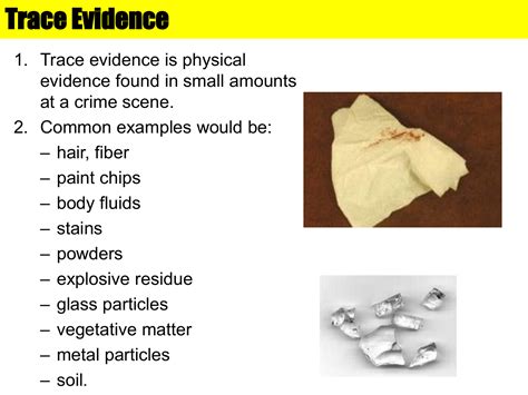 Traces Of Evidence Betsul