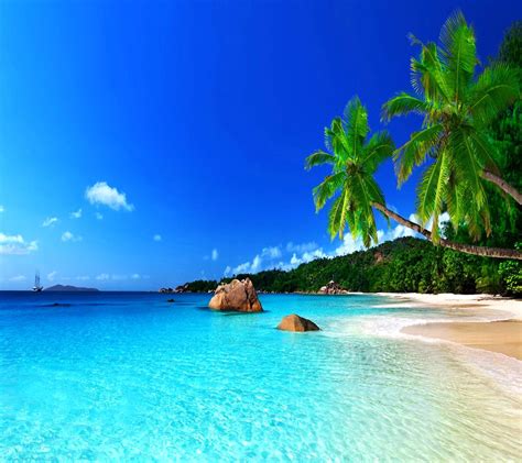 Tropic Paradise 1xbet
