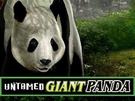 Untamed Giant Panda Sportingbet