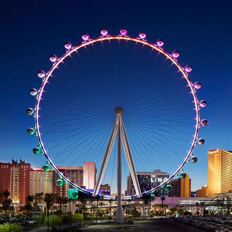 Vegas High Roller Novibet