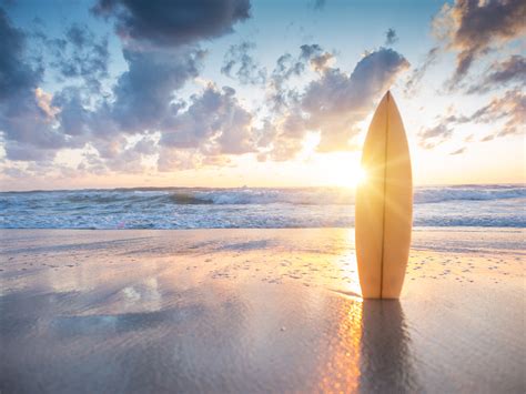 Viagem De Surf De Maquina De Fenda