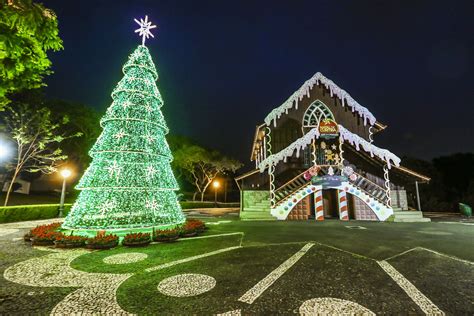 Viejas Casino Iluminacao Da Arvore De Natal 2024