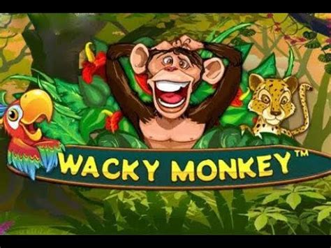 Wacky Monkey Review 2024