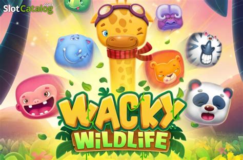 Wacky Wildlife Review 2024