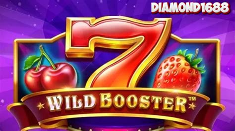 Wild Booster Review 2024