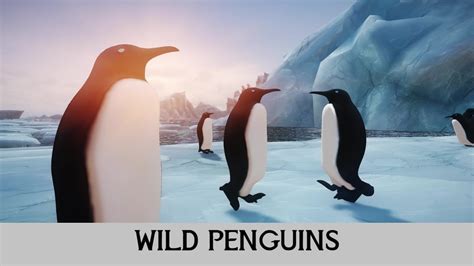 Wild Penguin Novibet
