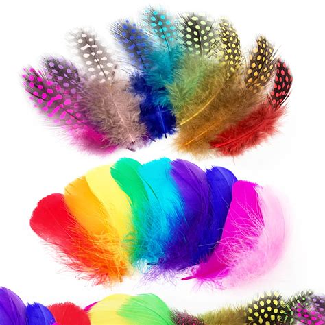 Wild Rainbow Feathers Parimatch