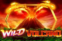 Wild Volcano Betfair