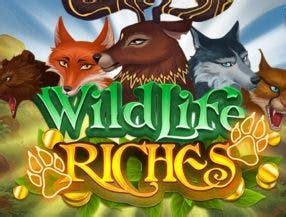 Wildlife Riches 888 Casino