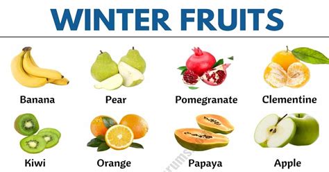 Winter Fruits Bodog
