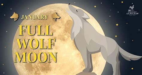 Wolf Moon 2 Review 2024