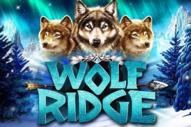 Wolf Ridge Review 2024
