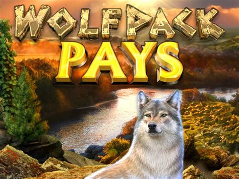 Wolfpack Pays Betsson