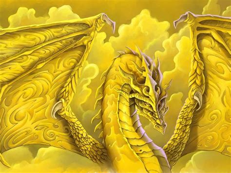 Yellow Dragon Brabet